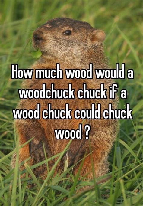 How Much Wood Could A Woodchuck Chuck