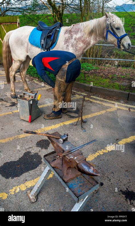 Farrier Shoeing Horse Stock Photo Alamy