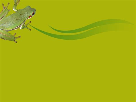 Frog Backgrounds For PowerPoint - Animal PPT Templates