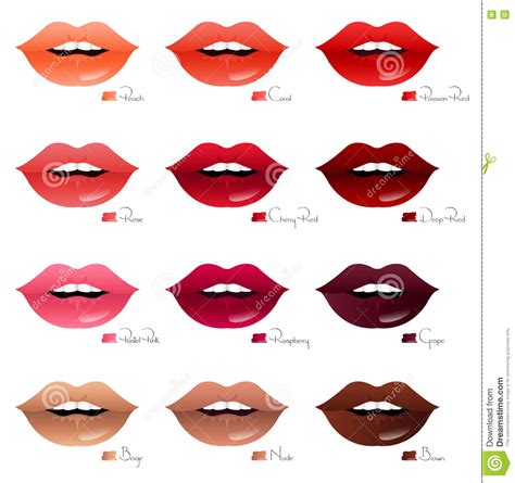 Mouths With Different Shades Of Lipsticks Stock Vector Illustration