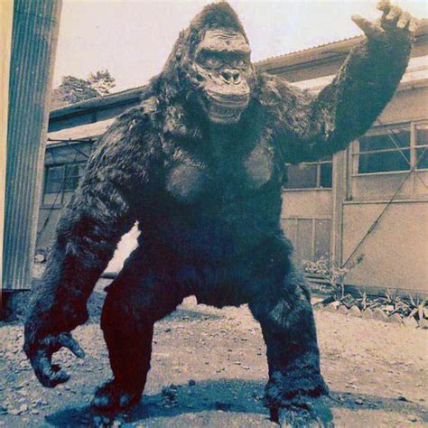 King Kong On The Set Of King Kong Escapes 1967 Giant Monster