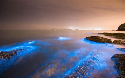 Spectacular Images Of An Ocean Glowing A Majestic Shade Of Blue But
