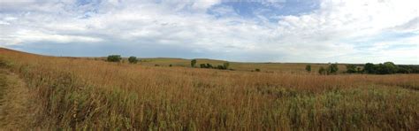 Have You Ever Wondered What The Tallgrass Prairie Was Really Like