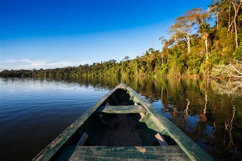 Things To Do in Peru's Amazon Rainforest All You Need to Know
