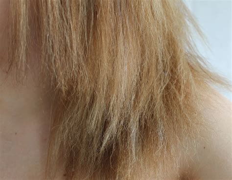 Recommended products for bleached hair - CCOMSCHOOL