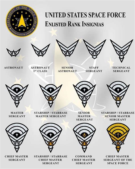 Us Space Force Ranks Military Ranks Military Insignia Force