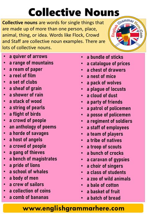 Collective Nouns Definition And Examples English Grammar Here