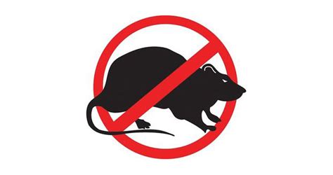You can feel confident knowing our we provide the consumer with effective pest control products and educate him or her on how to use them safely and properly. Pest Rat Control Near Me | Pest Control