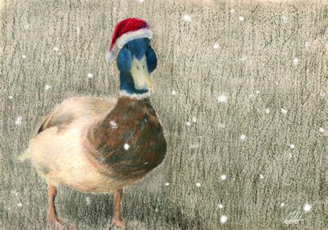 Christmas Duck By Inkyfish On Deviantart