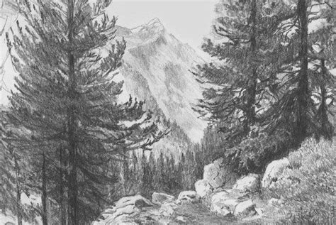 Drawing Tips From Teaching Artist Diane Wright Pencils Com