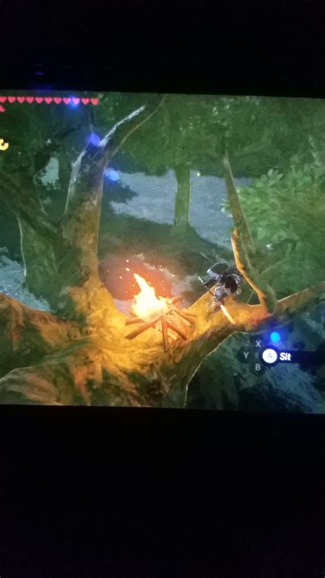 Maybe you would like to learn more about one of these? Built a fire in a tree. : Breath_of_the_Wild