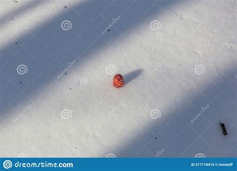 Colorful Beautiful Easter Egg In The Snow Stock Image Image Of Decor