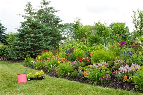 Good Plants For Berms What To Grow On A Berm Gardening Know How