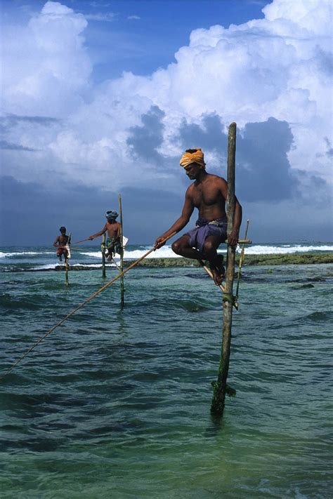 Stilt Fishermen Southern Coast Sri Lanka A Photo On Flickriver