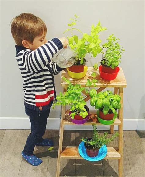 17 Fun And Easy Indoor Gardening For Kids Homemydesign Garden Rack