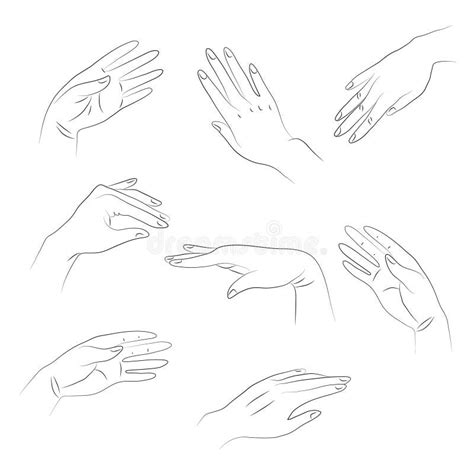 Outlines Of Hands Royalty Free Stock Photos Image 35055238