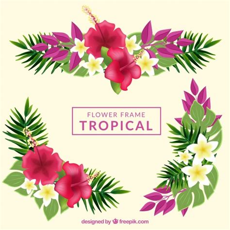 Free Vector Tropical Flowers Frame Background