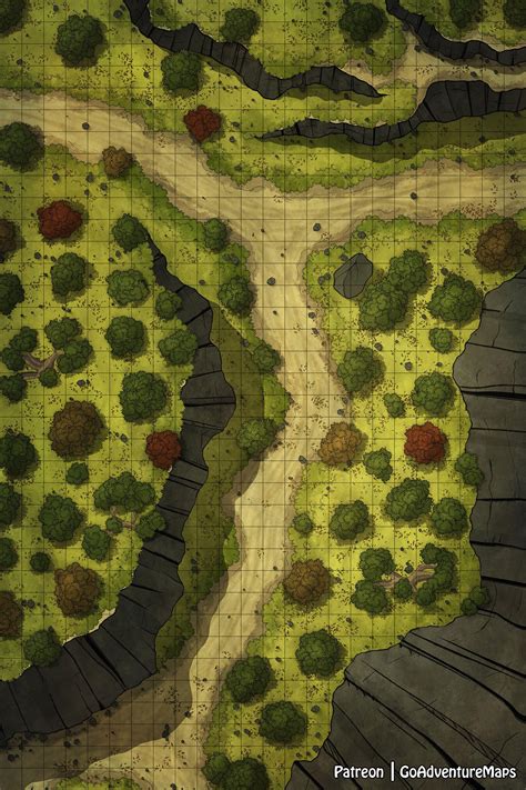 Oc Art Forest Path Battle Map 24x36 Rdnd