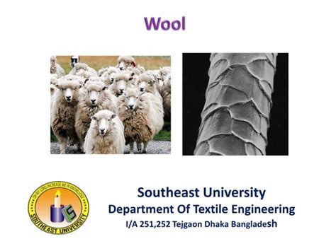 Wool Fiber Components And Properties Ppt