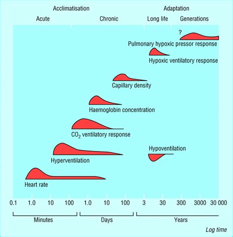 Oxygen Levels Altitude Chart