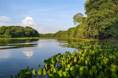 12 Best Places To Visit In South America Rainforest Cruises