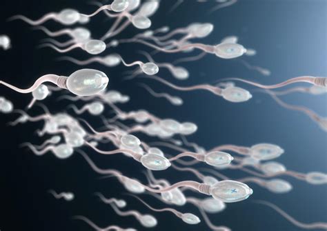 Low Sperm Motility Causes Ranges And Treatment