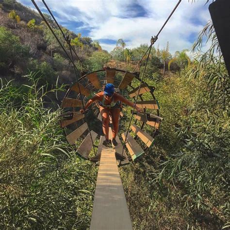 We did not find results for: Las Cañadas Canopy Tour in Ensenada | Placepass