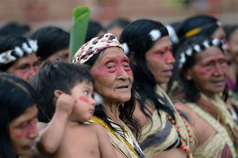 Movimientos Indígenas ¿iza ‘outsider En Ecuador Política Exterior