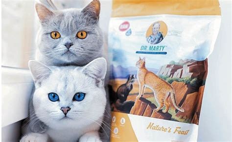 Our premium raw cat food. Dr. Marty Nature's Feast Cat Food Review - Cat Loves Best
