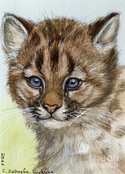 Cougar Cub Portrait Aceo Painting By Svetlana Ledneva Schukina Fine