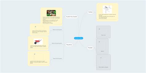 Maquinas Simples Mindmeister Mapa Mental