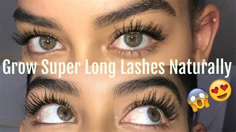 How To Grow Your Lashes Naturally Youtube