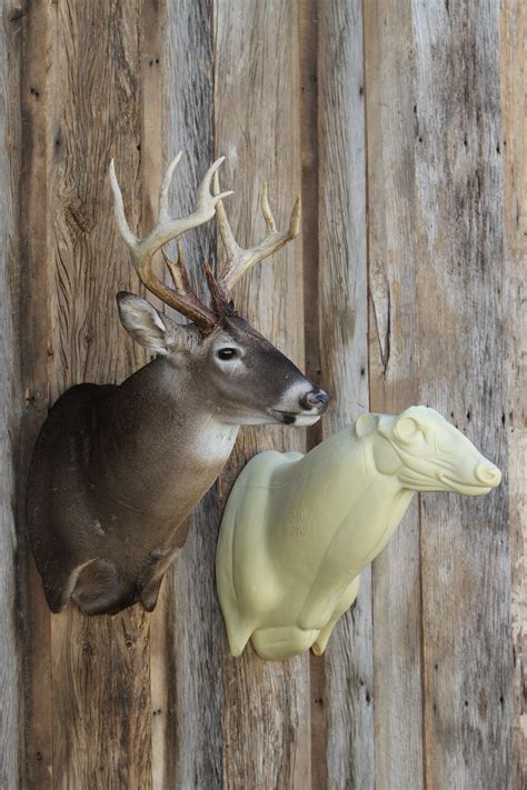 Home Mears Whitetail Forms