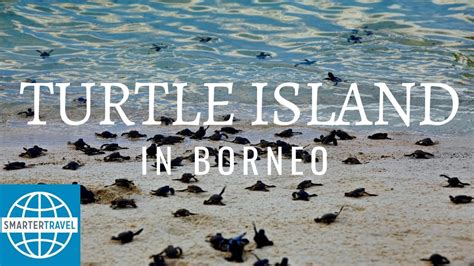 Turtle Island In Borneo Smartertravel Youtube