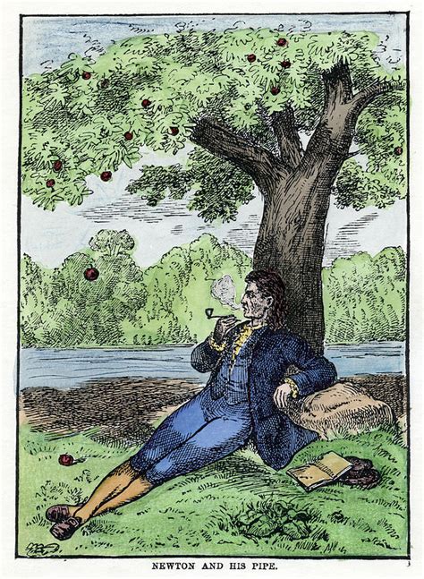 Isaac Newton And The Apple Painting By Granger Fine Art America