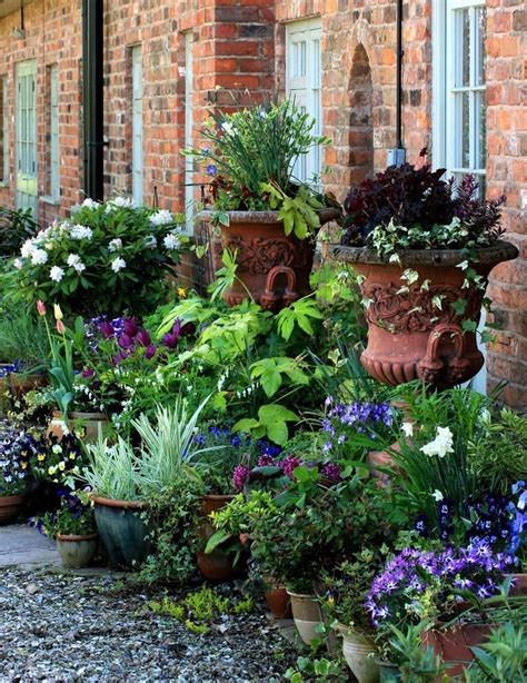 17 Best Images About Container Gardening Ideas On Pinterest Garden