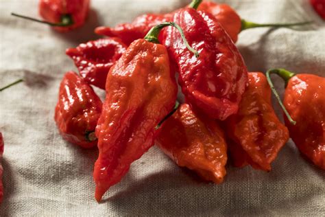 Ghost Pepper Guide Heat Flavor Uses