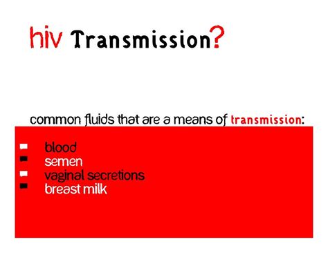 Hiv Transmission Common Fluids