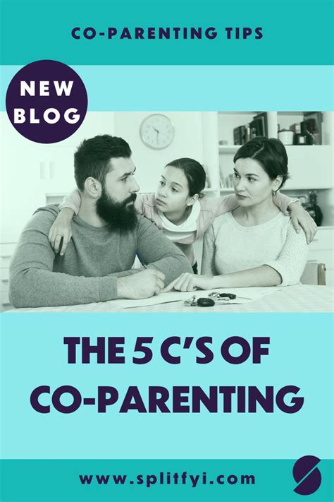 The 5 Cs Of Co Parenting Co Parenting Parenting Parenting Skills