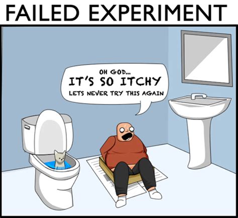 Failed Experiment Funny Memes Humor Work Humor