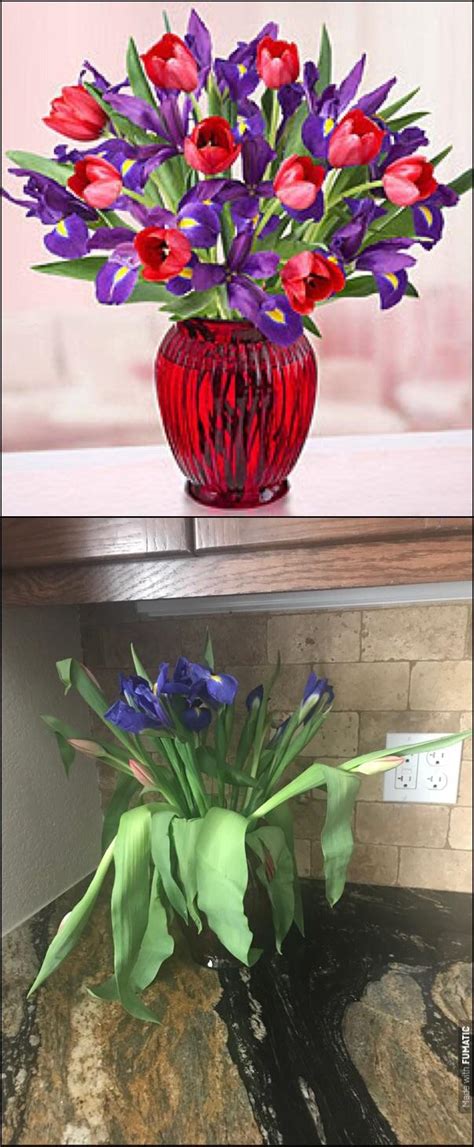 Fresh ideas flower company, modesto ann marie pierce: Thanks 1-800-Flowers : ExpectationVsReality