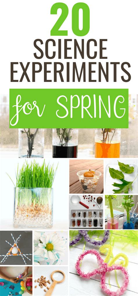 Spring Science Experiments For Kids
