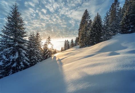 Mountain Meadow In Winter Stock Photo Image Of Cloudy 29331314