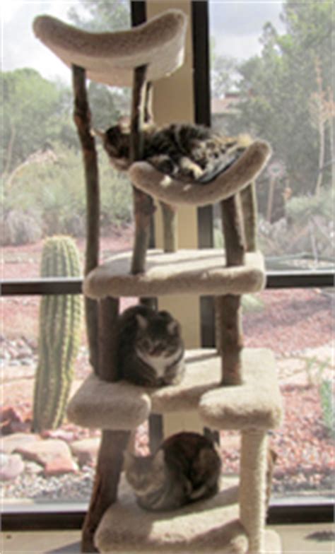 See more of the crazy cat tree maker on facebook. Rustic Cat Trees - Custom Made