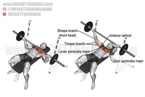 Wide Reverse Grip Barbell Bench Press Exercise Instructions And Video