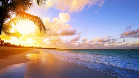 Tropical Beach Sunrise Wallpaper Backiee