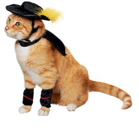 15 Purrfect Halloween Costumes For Your Cat Cat Halloween Costume