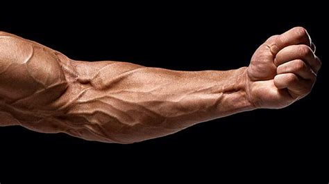 Tip The Ultimate Forearm Finisher Dumbbell Workout Program Forearm