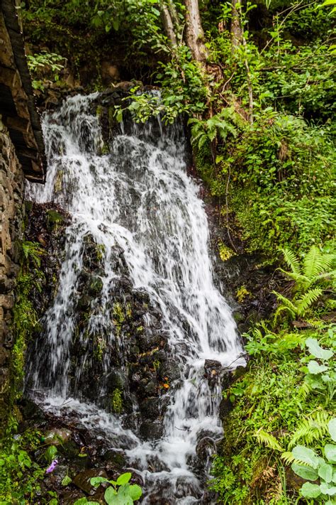 Free Images Landscape Tree Nature Forest Waterfall River Moss