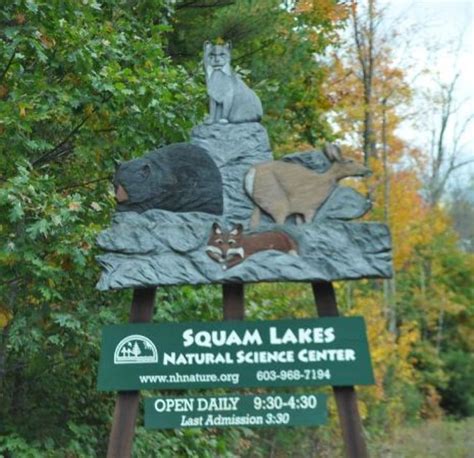 Squam Lakes Natural Science Center New Hampshire United States Of